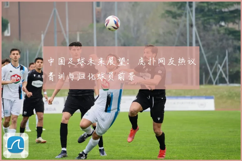 中国足球未来展望：虎扑网友热议青训与归化球员前景