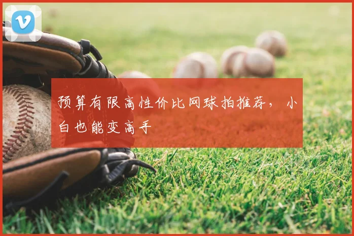 预算有限高性价比网球拍推荐，小白也能变高手