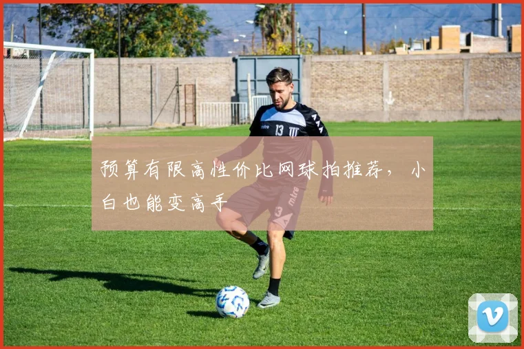 预算有限高性价比网球拍推荐，小白也能变高手