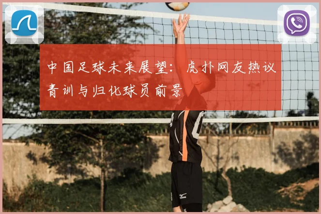 中国足球未来展望：虎扑网友热议青训与归化球员前景