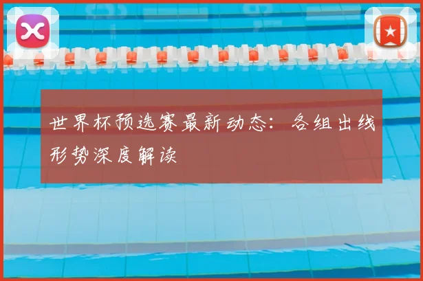 世界杯预选赛最新动态：各组出线形势深度解读